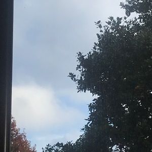 Meet your Posher, Lorenzo